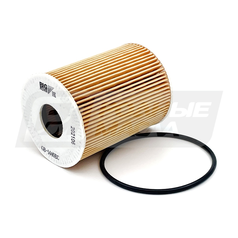 BIG FILTER GB-1446EC (HU9001X, Porsche 0PB115403, VAG 0PB115466) GB1446EC